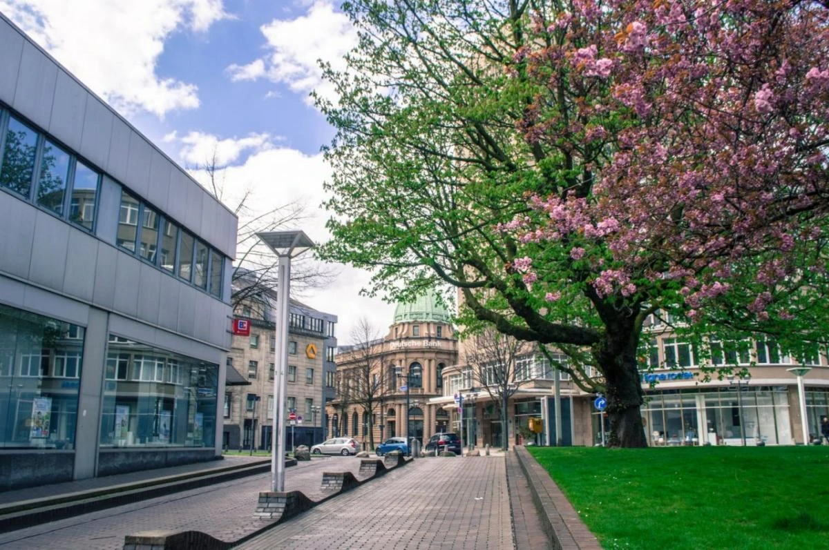 Львов - Эссен