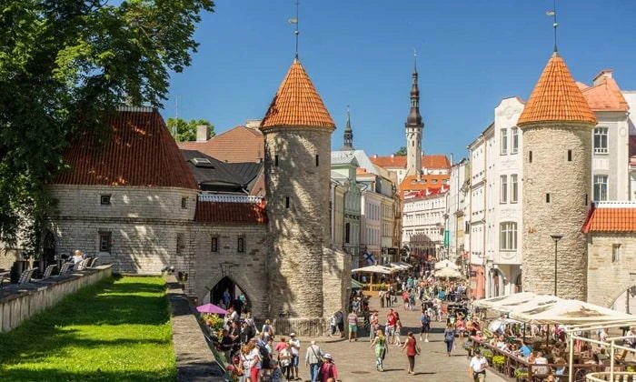 Харків - Таллінн